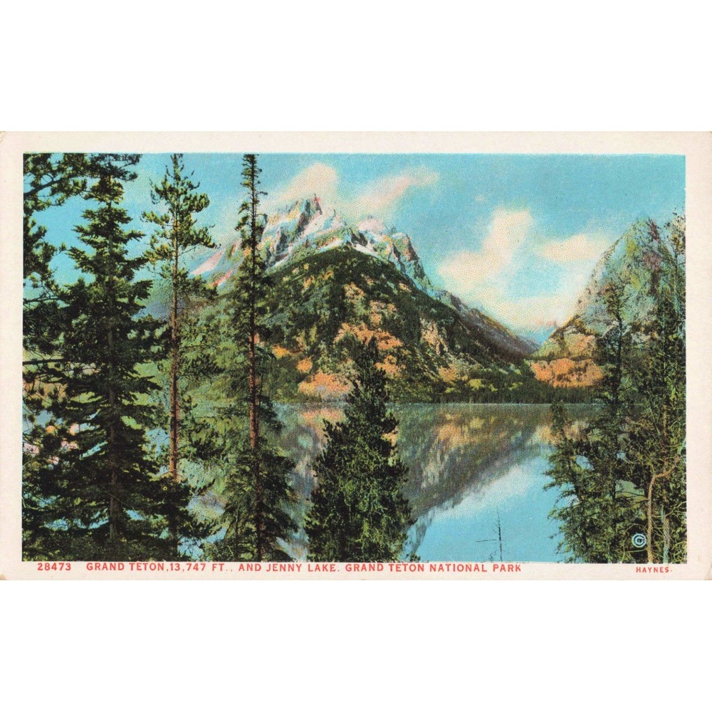 Vintage Grand Teton and Jenny Lake National Park Wyoming Linen Postcard Haynes - Picture 1 of 2